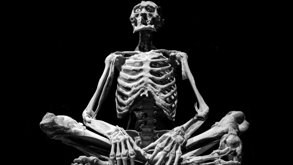10-1024x576 Anatomia Humana: Entenda o Que É e Por Que Ela É Essencial para Estudantes da Área da Saúde