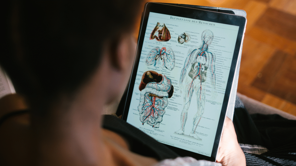 8-1024x576 Anatomia Humana: Entenda o Que É e Por Que Ela É Essencial para Estudantes da Área da Saúde