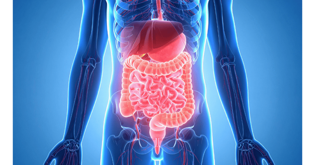 1-1024x538 Sistema Digestório: Fisiologia Aplicada, Manejo de Sondas e Cuidados Críticos