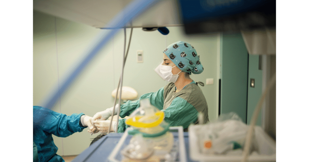 5-4-1024x538 Meningite: Sintomas, Transmissão e Tudo que o Profissional de Saúde Precisa Saber