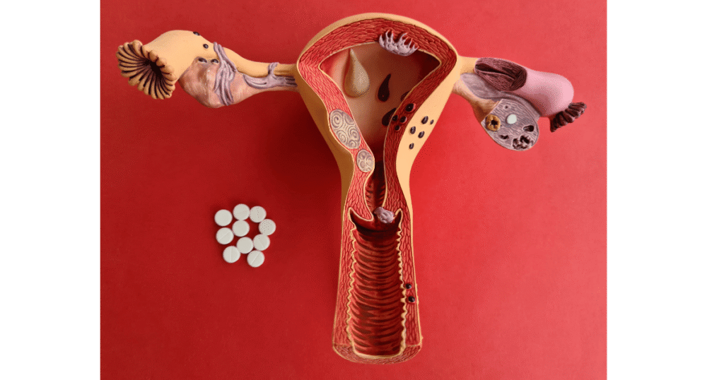 Imagens-para-blog-1-1024x538 Sistema Ginecológico: Anatomia, Fisiologia e Cuidados Essenciais para Profissionais de Saúde