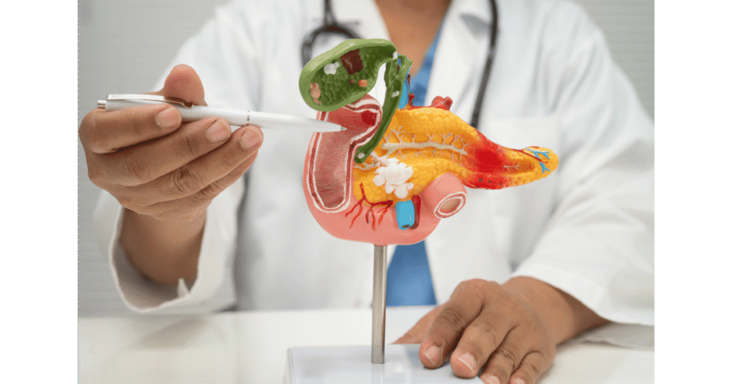 Imagens-para-blog-1024x538 Sistema Digestório: Fisiologia Aplicada, Manejo de Sondas e Cuidados Críticos